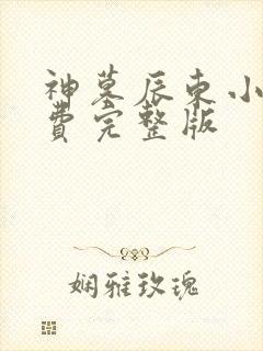 神墓辰东小说免费完整版