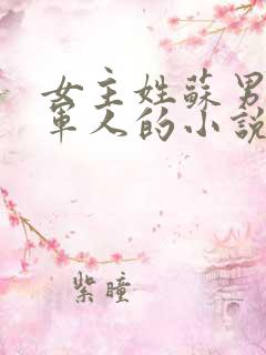 女主姓苏男主是军人的小说