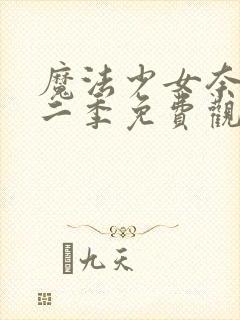 魔法少女奈叶第二季免费观看全集