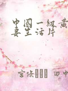 中国一级黄色夫妻生活片