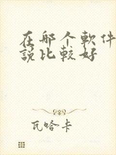 在哪个软件写小说比较好