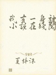 我有一身被动技小说在线阅读