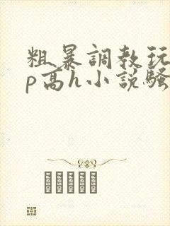 粗暴调教玩弄np高h小说骚受