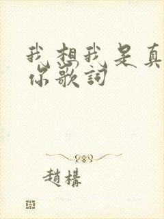 我想我是真的爱你歌词