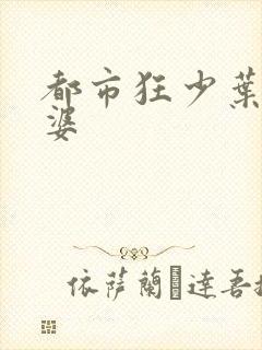 都市狂少叶凡老婆