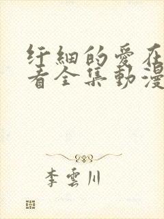 纤细的爱在线观看全集动漫