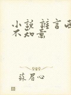 小说 谁言西洲不知意