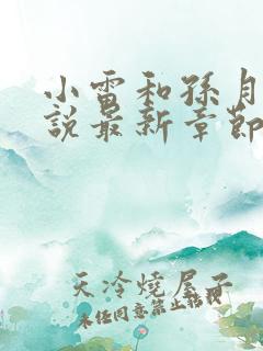 小雷和孙月清小说最新章节更新内容