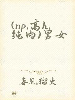 (np,高h,纯肉)男女