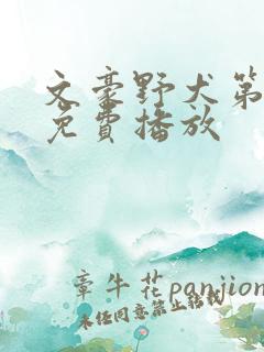 文豪野犬第六季免费播放