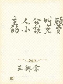 主人公叫顾北弦的小说免费阅读