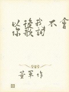 以后我不会再爱你歌词