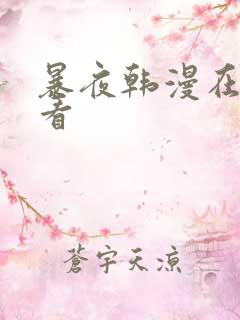 暴夜韩漫在哪里看