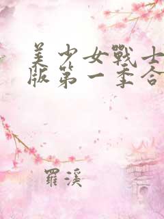 美少女战士国语版第一季合集
