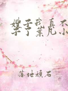 嫂子我真不是傻子了叶凡小说.txt