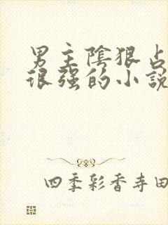 男主阴狠占有欲很强的小说