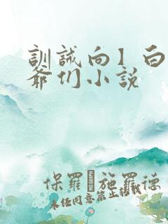 训诫向】白家少爷们小说