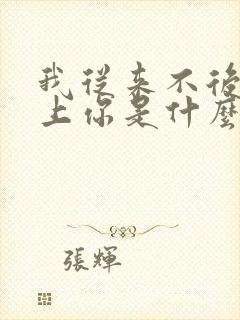 我从来不后悔爱上你是什么歌