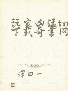 玩家凶猛txt下载奇书网