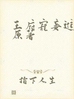 王府宠妾进阶录原著