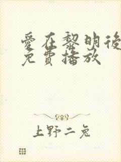 爱在黎明后全集免费播放