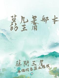 莫凡是哪本小说的主角