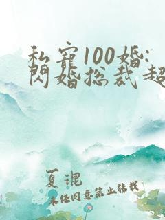 私宠100婚:闪婚总裁超霸道