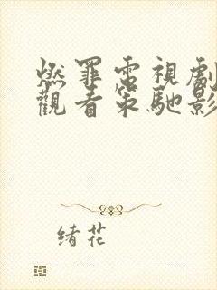 燃罪电视剧在线观看策驰影院