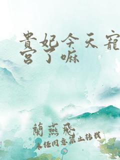 贵妃今天宠冠后宫了嘛