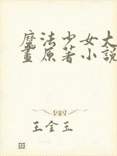 魔法少女大叔漫画原著小说叫什么