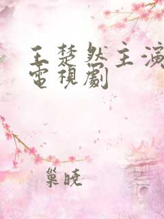 王楚然主演过的电视剧