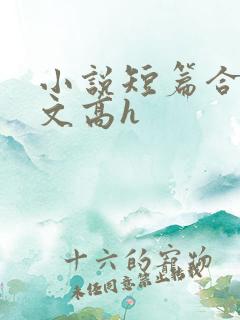 小说短篇合集爽文高h