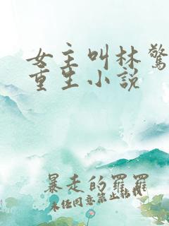 女主叫林惊澜的重生小说