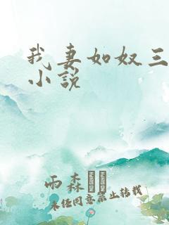 我妻如奴三部曲小说