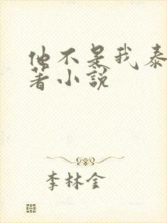 他不是我泰剧原著小说