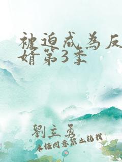 被迫成为反派赘婿第3季