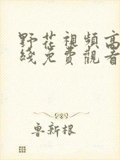 野花视频高清在线免费观看