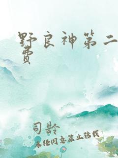 野良神第二季免费