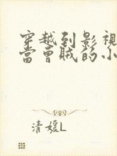 穿越到影视世界当曹贼的小说