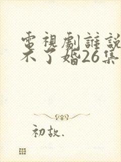 电视剧谁说我结不了婚26集