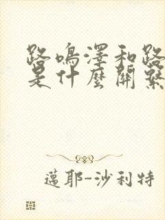 路鸣泽和路明非是什么关系