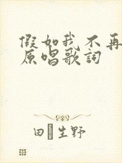 假如我不再善良原唱歌词