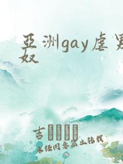 亚洲gay虐男奴
