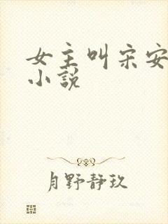 女主叫宋安宁的小说