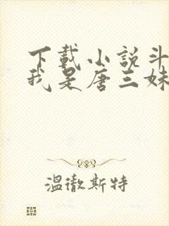 下载小说斗罗:我是唐三妹妹