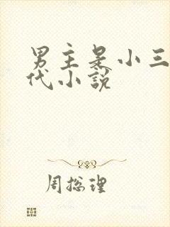 男主是小三的现代小说