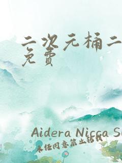 二次元桶二次元免费