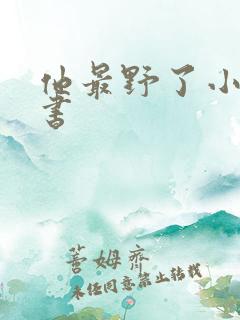 他最野了小说听书