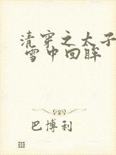 清穿之太子娇妃 雪中回眸