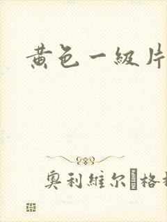 黄色一级片伦理